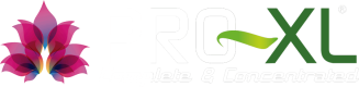 Pro-xl_logo-flor-blanco-min